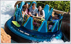 SeaWorld Orlando Attractions